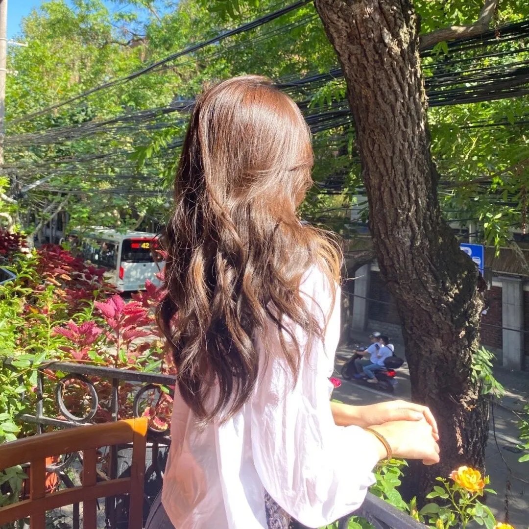 科西嘉岛的夏天